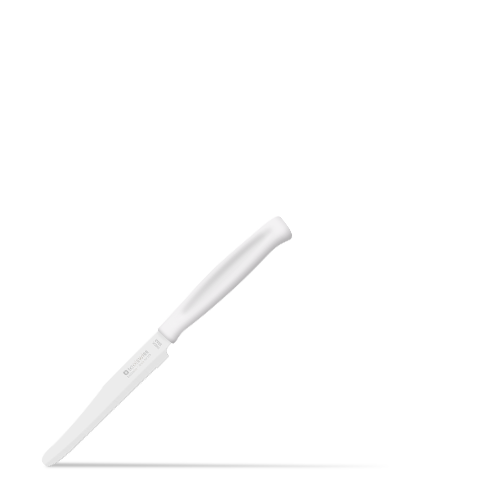 CLASINOX Kitchen Knives By Toolswiss